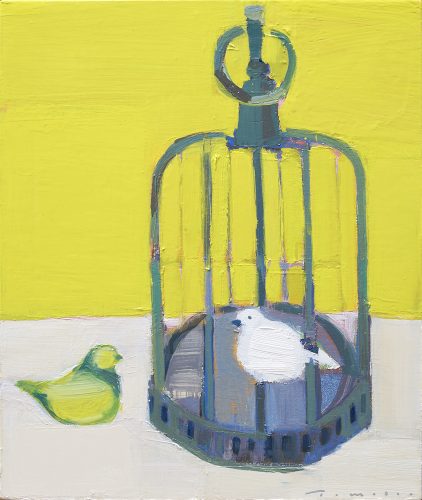 Cage à oiseaux 8F