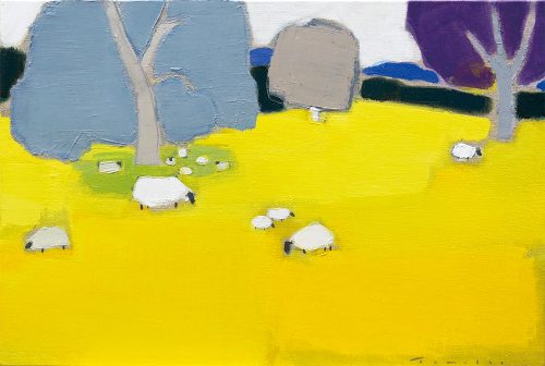 Cotswold sheep 12M